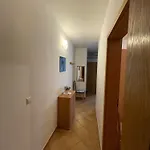 Appartement Borovec Vir