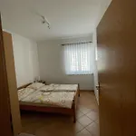 Borovec Vir