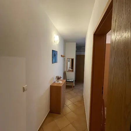 Apartment Borovec Vir
